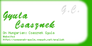 gyula csasznek business card